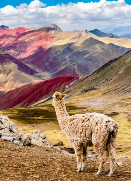 Palcoyo Rainbow Mountain Day Tour