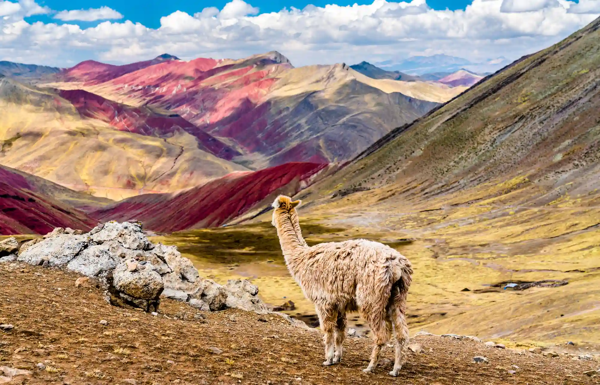 Palcoyo Rainbow Mountain Day Tour