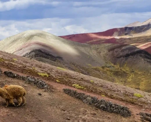 RAINBOW MOUNTAIN+RED VALLEY FULL DAY TOUR