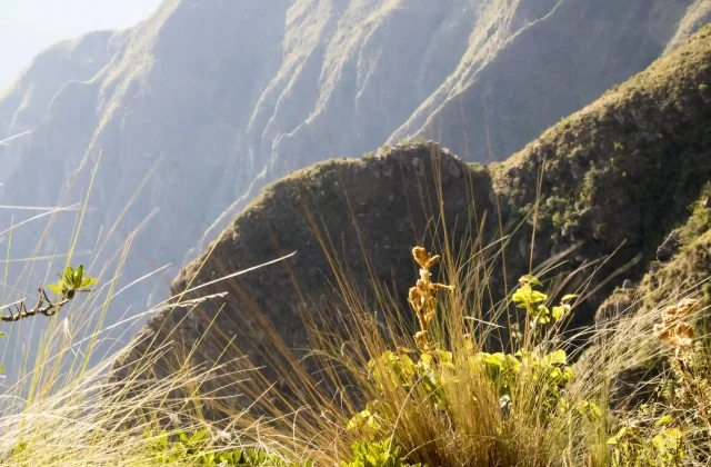 Tour Condor Canyon Chonta – 1 Day