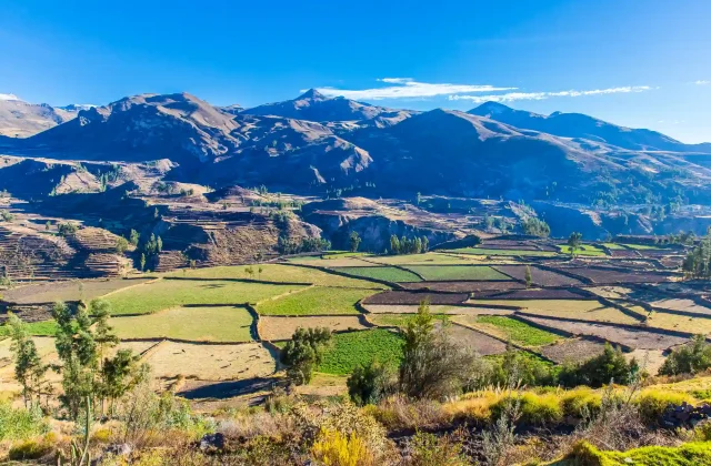 COLCA CANYON FULL DAY TOUR COLCA CANYON FULL DAY TOUR