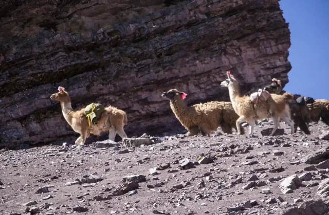 Rainbow Mountain Trek by ATV 1 Day