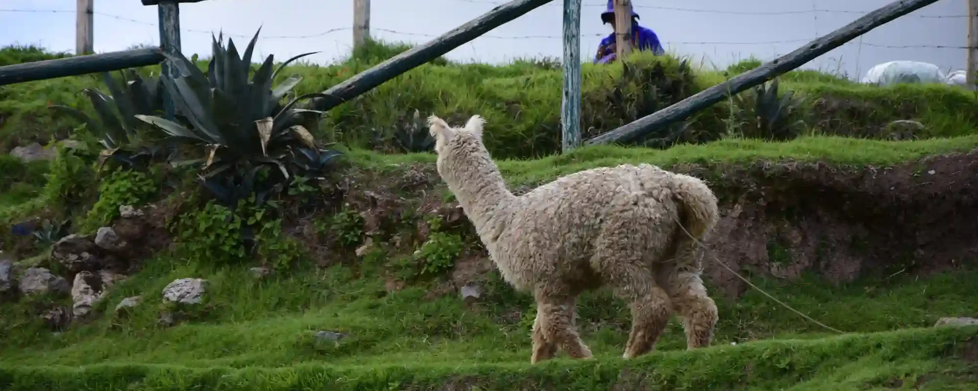 Machu Picchu tours from Cusco for First-Time Travelers