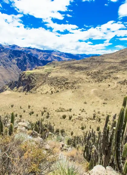 COLCA CANYON FULL DAY TOUR