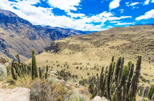 COLCA CANYON FULL DAY TOUR COLCA CANYON FULL DAY TOUR