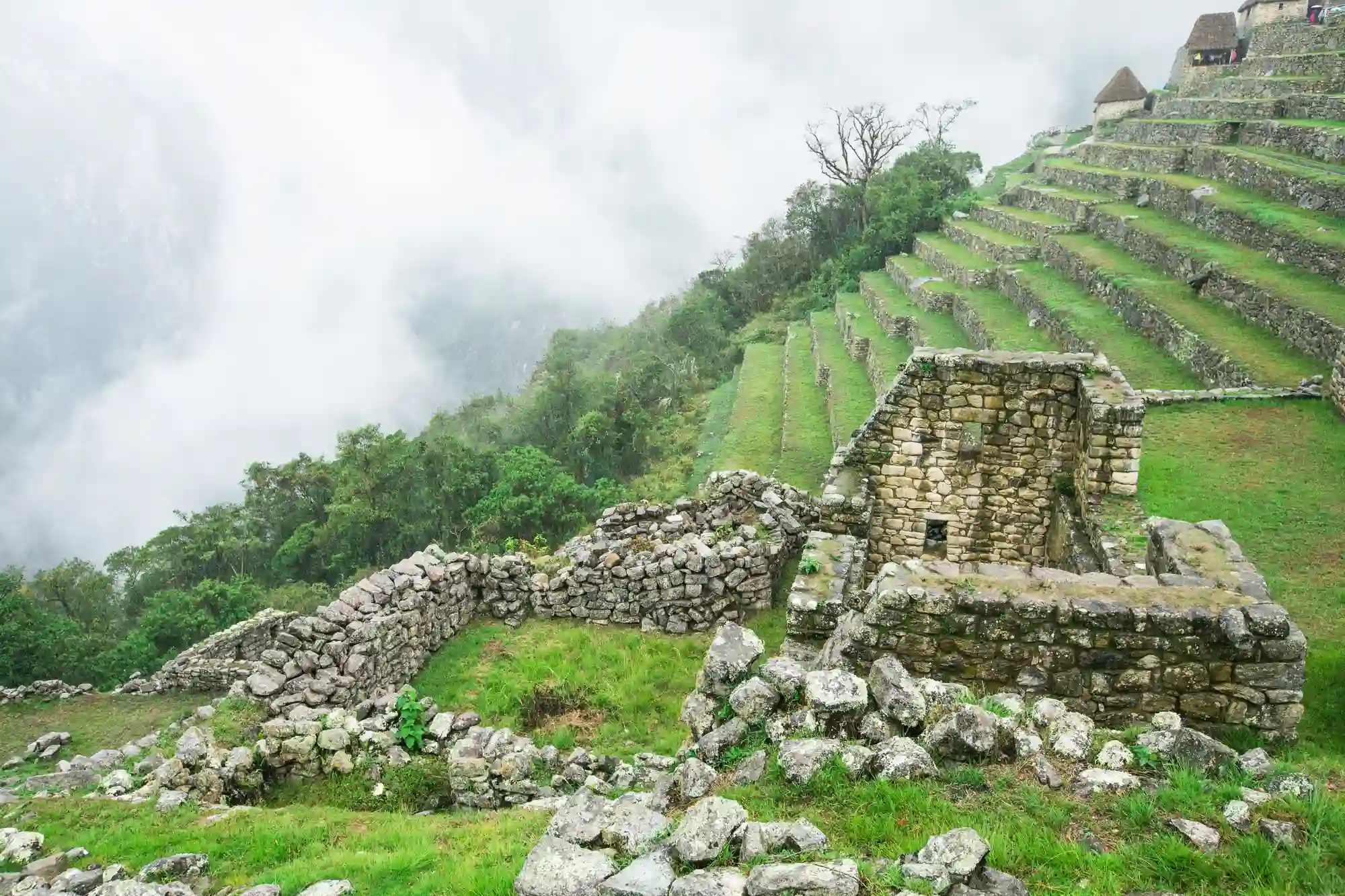 Fresh Travel Tips for the Inca Jungle Trek