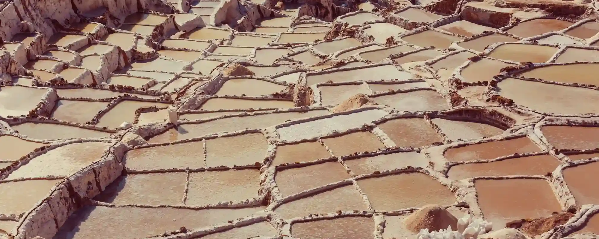 A Helpful Visitor Overview: The circular terraces of Moray