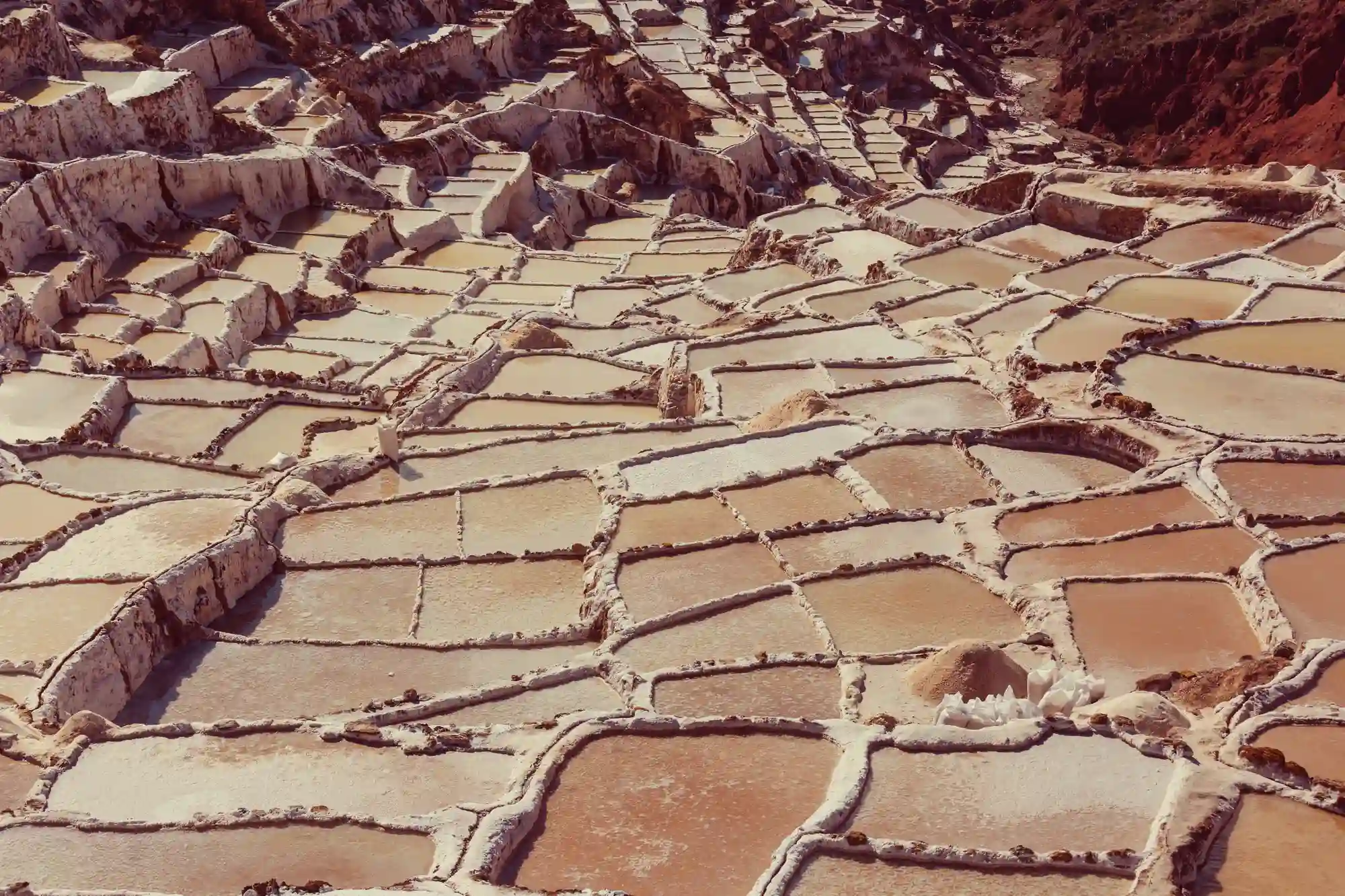 A Helpful Visitor Overview: The circular terraces of Moray