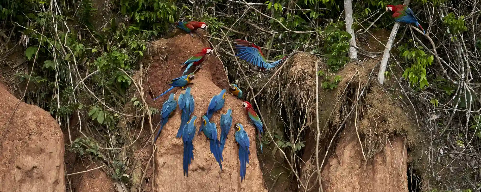 Fresh Travel Tips for a memorable journey through Peru