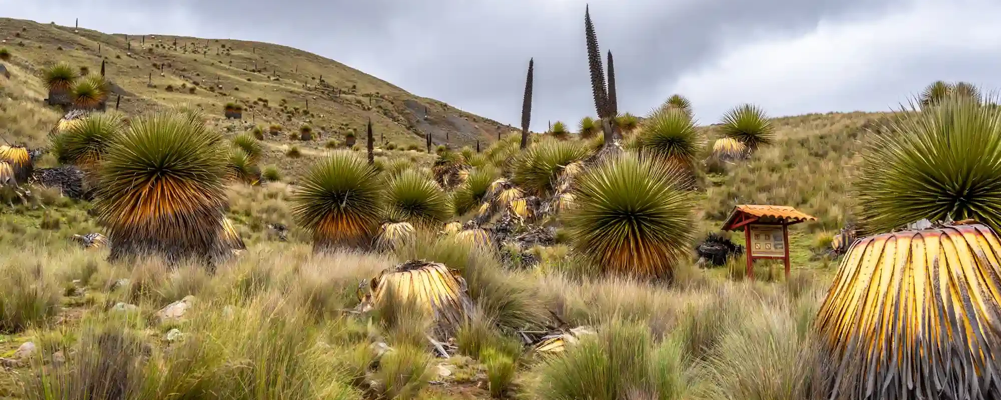 Essential Advice for Choquequirao and its remote ruins