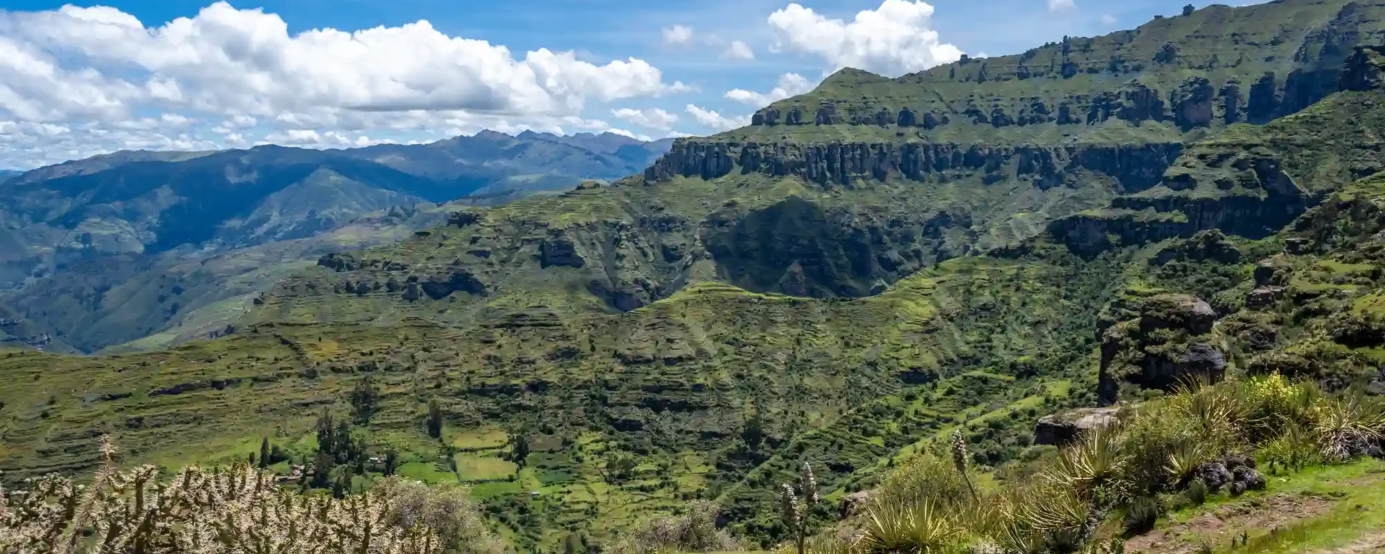 Wildlife on the Inca Trail for First-Time Travelers