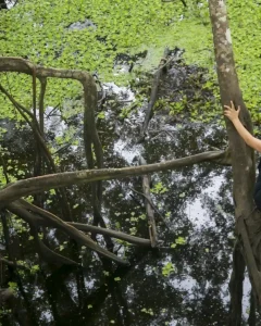 AMAZON TOUR MANU CULTURAL ZONE 4 DAYS – 3 NIGHTS