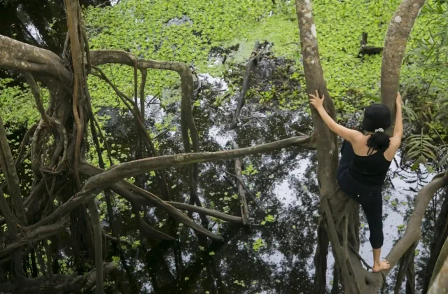 AMAZON TOUR MANU CULTURAL ZONE 4 DAYS – 3 NIGHTS