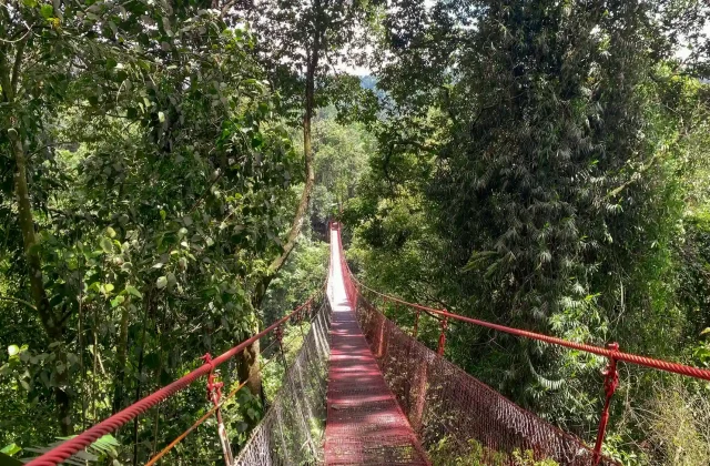 AMAZON TOUR MANU CULTURAL ZONE 4 DAYS – 3 NIGHTS