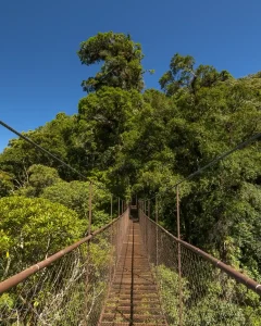 AMAZON TOUR MANU CULTURAL ZONE 4 DAYS – 3 NIGHTS