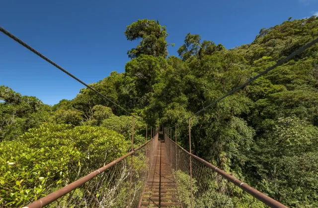 AMAZON TOUR MANU CULTURAL ZONE 4 DAYS – 3 NIGHTS