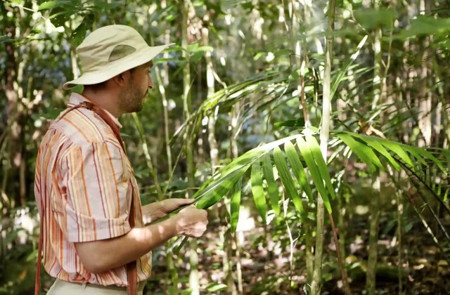 AMAZON TOUR MANU CULTURAL ZONE 4 DAYS – 3 NIGHTS