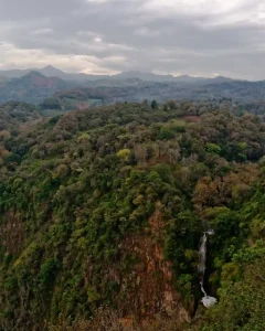 AMAZON TOUR MANU CULTURAL ZONE 3D – 2N