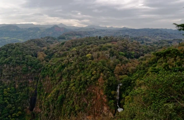 AMAZON TOUR MANU CULTURAL ZONE 4 DAYS – 3 NIGHTS